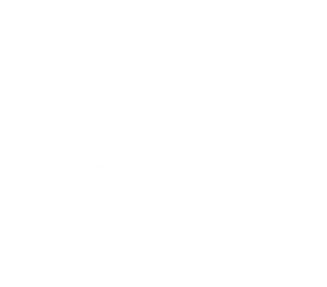 Brentas SPA Resort — клиент на Synergy Consult